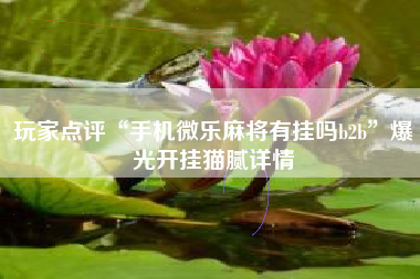 玩家点评“手机微乐麻将有挂吗b2b	”爆光开挂猫腻详情