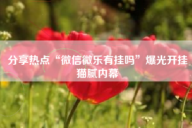 分享热点“微信微乐有挂吗”爆光开挂猫腻内幕