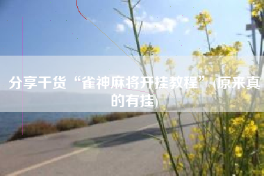 分享干货“雀神麻将开挂教程	”(原来真的有挂)