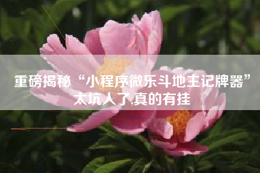 重磅揭秘“小程序微乐斗地主记牌器	”太坑人了,真的有挂