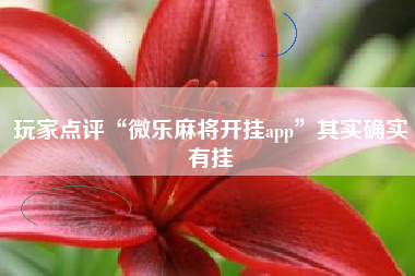 玩家点评“微乐麻将开挂app”其实确实有挂