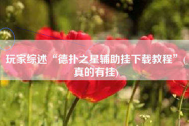 玩家综述“德扑之星辅助挂下载教程”(真的有挂)