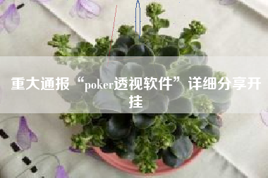重大通报“poker透视软件”详细分享开挂