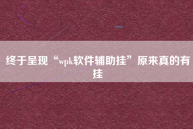 终于呈现“wpk软件辅助挂”原来真的有挂