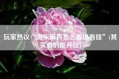 玩家热议“微乐麻将怎么看出有挂”(其实真的能开挂)