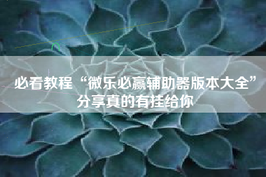 必看教程“微乐必赢辅助器版本大全”分享真的有挂给你