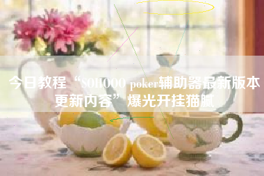 今日教程“SOHOOO poker辅助器最新版本更新内容	”爆光开挂猫腻