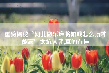 重磅揭秘“河北微乐麻将游戏怎么玩才能赢”太坑人了,真的有挂