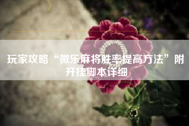 玩家攻略“微乐麻将胜率提高方法”附开挂脚本详细