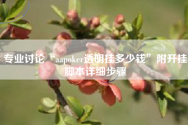 专业讨论“aapoker透明挂多少钱	”附开挂脚本详细步骤