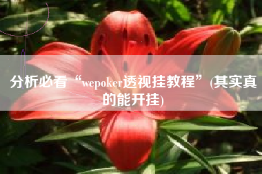 分析必看“wepoker透视挂教程”(其实真的能开挂)