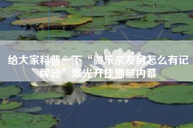 给大家科普一下“微乐亲友房怎么有记牌器”爆光开挂猫腻内幕