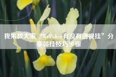 我来教大家“WePoKer有没有透视挂”分享装挂技巧步骤