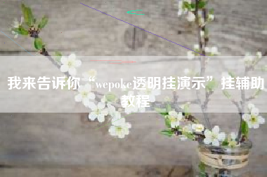 我来告诉你“wepoke透明挂演示”挂辅助教程