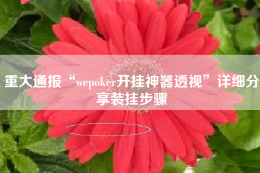 重大通报“wepoker开挂神器透视	”详细分享装挂步骤