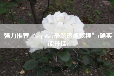 强力推荐“wepoKer最新透视教程”(确实能开挂)