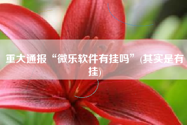 重大通报“微乐软件有挂吗”(其实是有挂)