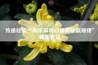 传递经验“微乐麻将自建房输赢规律”确实有挂