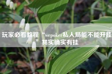 玩家必看教程“wepoker私人局能不能开挂”其实确实有挂