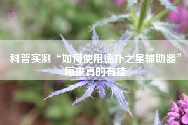 科普实测“如何使用德扑之星辅助器”原来真的有挂