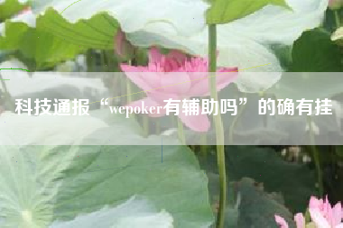 科技通报“wepoker有辅助吗”的确有挂