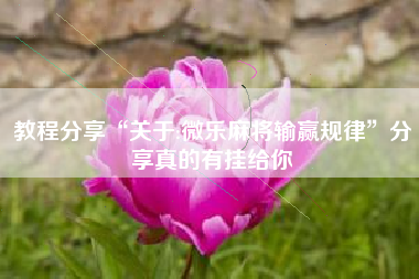 教程分享“关于:微乐麻将输赢规律”分享真的有挂给你