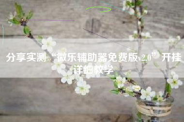 分享实测“微乐辅助器免费版v2.0”开挂详细教学