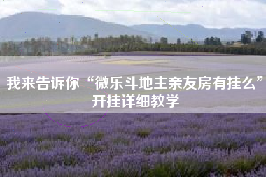 我来告诉你“微乐斗地主亲友房有挂么”开挂详细教学