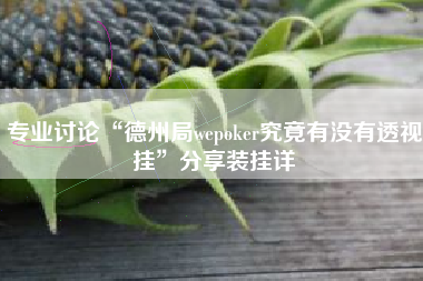 专业讨论“德州局wepoker究竟有没有透视挂	”分享装挂详