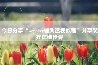 今日分享“wepoker辅助透视教程”分享装挂详细步骤