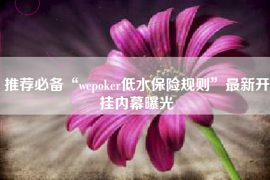 推荐必备“wepoker低水保险规则”最新开挂内幕曝光