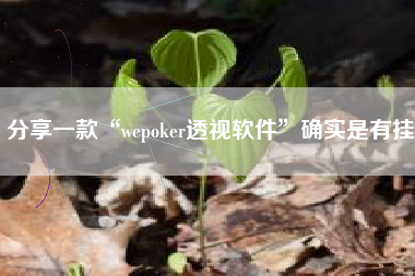 分享一款“wepoker透视软件”确实是有挂
