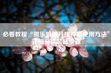 必看教程“微乐够级开挂神器使用方法	”详细分享装挂步骤