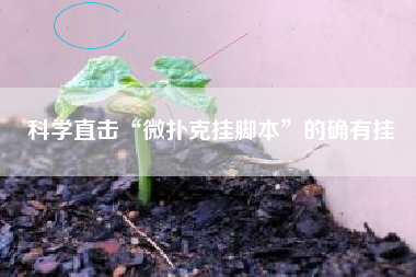 科学直击“微扑克挂脚本”的确有挂