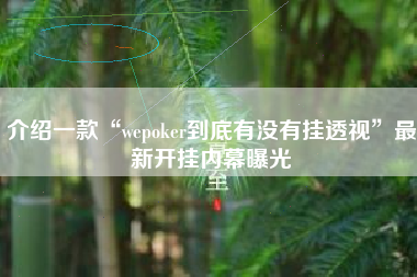 介绍一款“wepoker到底有没有挂透视”最新开挂内幕曝光