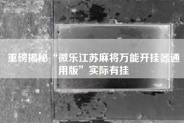 重磅揭秘“微乐江苏麻将万能开挂器通用版”实际有挂