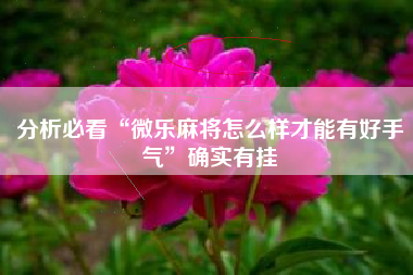 分析必看“微乐麻将怎么样才能有好手气”确实有挂