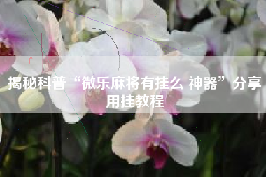 揭秘科普“微乐麻将有挂么 神器	”分享用挂教程