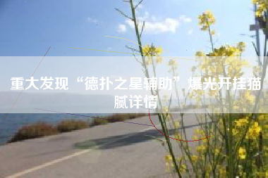 重大发现“德扑之星辅助	”爆光开挂猫腻详情