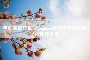 查到实测辅助“wepoker透视挂安装购买”(必胜开挂神