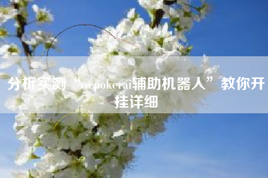 分析实测“wepokerai辅助机器人”教你开挂详细