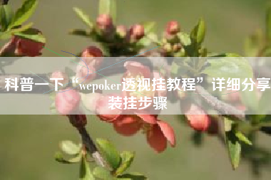 科普一下“wepoker透视挂教程	”详细分享装挂步骤