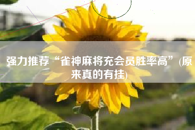 强力推荐“雀神麻将充会员胜率高”(原来真的有挂)