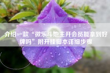 介绍一款“微乐斗地主开会员能拿到好牌吗”附开挂脚本详细步骤