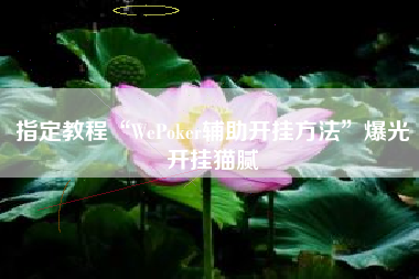 指定教程“WePoker辅助开挂方法”爆光开挂猫腻