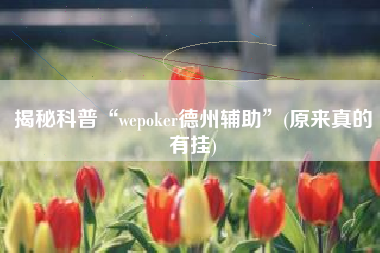 揭秘科普“wepoker德州辅助”(原来真的有挂)
