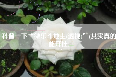 科普一下“微乐斗地主(透视)”(其实真的能开挂)