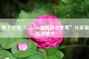 终于找到“wepoker透视脚本免费”分享装挂详细步