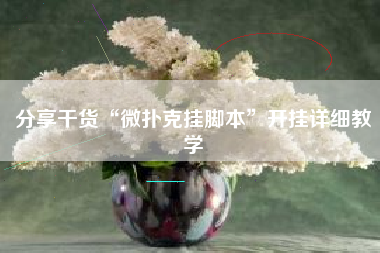 分享干货“微扑克挂脚本	”开挂详细教学