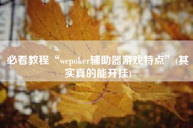 必看教程“wepoker辅助器游戏特点”(其实真的能开挂)